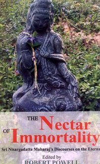The Nectar of Immortality: Sri Nisargadatta Maharaja's Discourses on the Eternal (hardcover) - Image 2